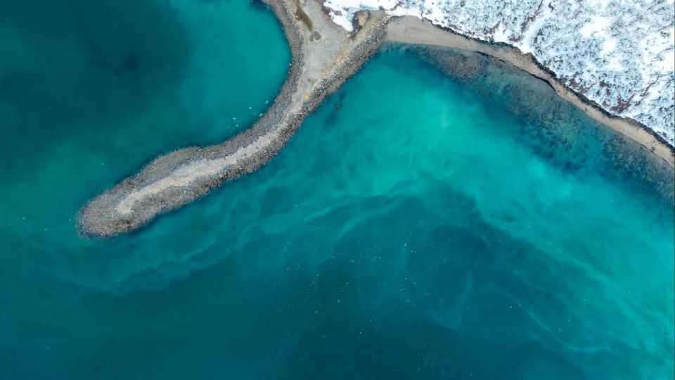 Нерестящаяся сельдь окрасила в бирюзовый цвет воды бухты Нагаева Нерестящаяся сельдь окрасила в бирюзовый цвет воды бухты Нагаева