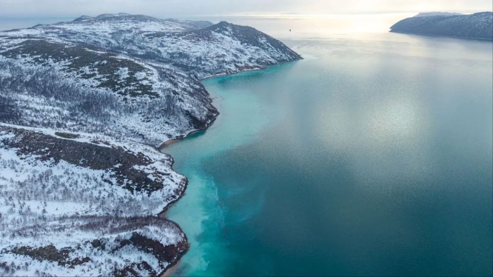 Нерестящаяся сельдь окрасила в бирюзовый цвет воды бухты Нагаева Нерестящаяся сельдь окрасила в бирюзовый цвет воды бухты Нагаева