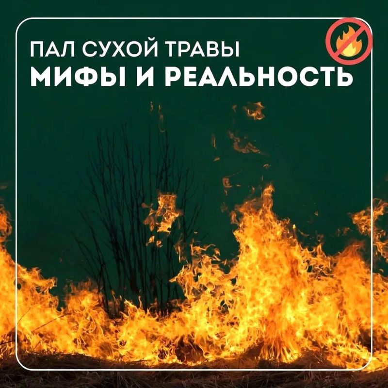 Пал травы может обернуться трагедией!