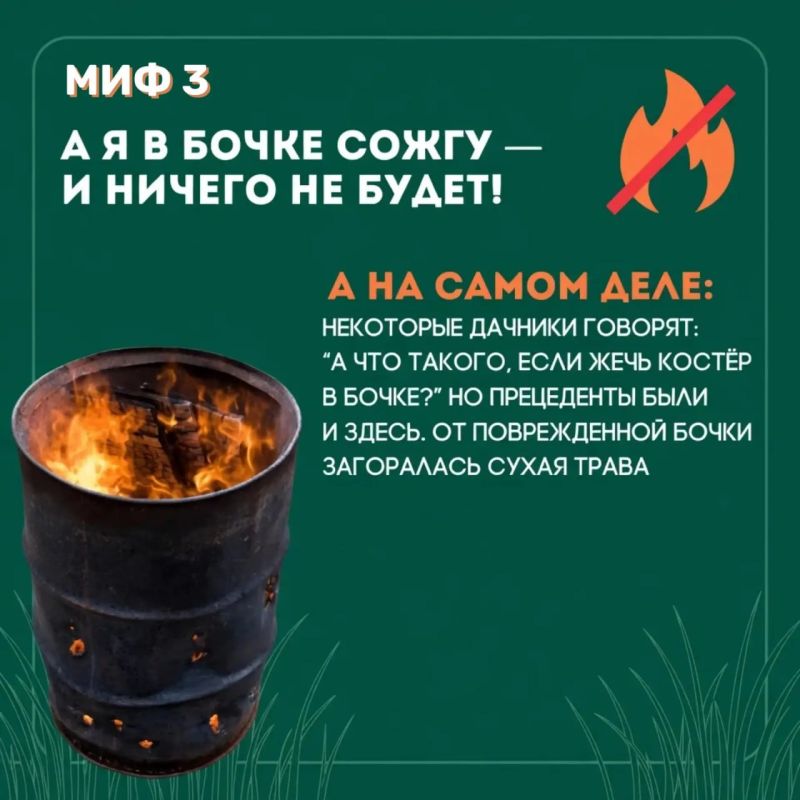 Пал травы может обернуться трагедией! Пал травы может обернуться трагедией!