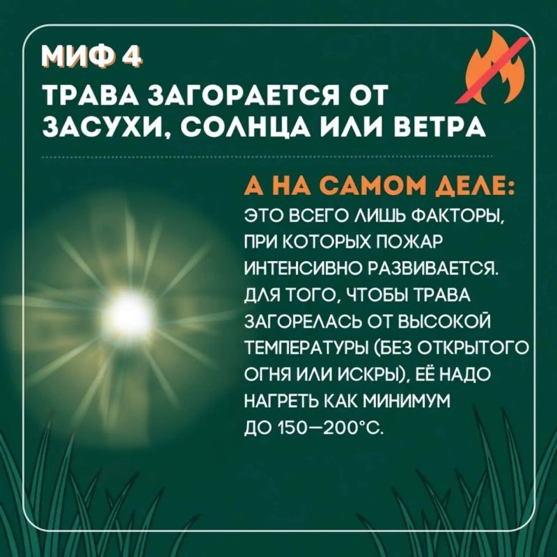 Пал травы может обернуться трагедией! Пал травы может обернуться трагедией!