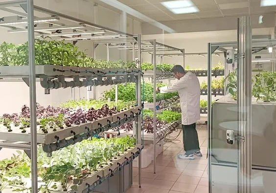 На Дальнем Востоке выращивают биотех будущего На Дальнем Востоке выращивают биотех будущего