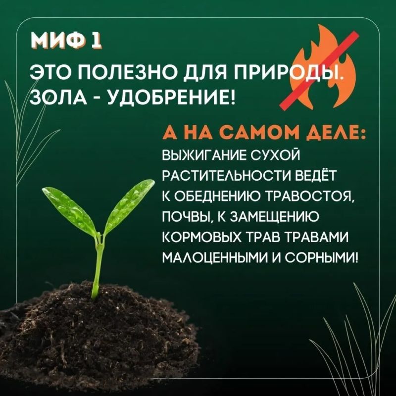 Пал сухой травы запрещен – он может стать причиной пожаров Пал сухой травы запрещен – он может стать причиной пожаров