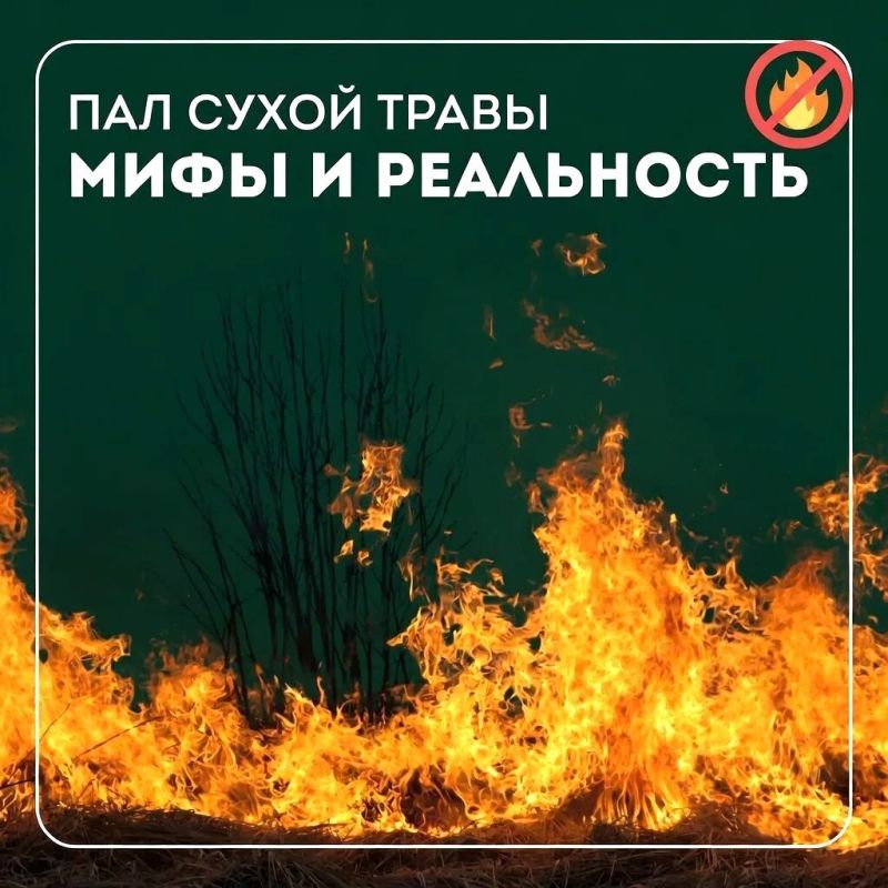 Пал сухой травы запрещен – он может стать причиной пожаров