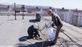 Коммунальщики убирают гнезда чаек с домов Магадана