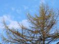 В Магадане +9, +11°C, малая облачность
