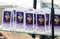 Почти 400 участников из разных городов России: в Магадане подвели итоги конкурса «СеверяШКИ»