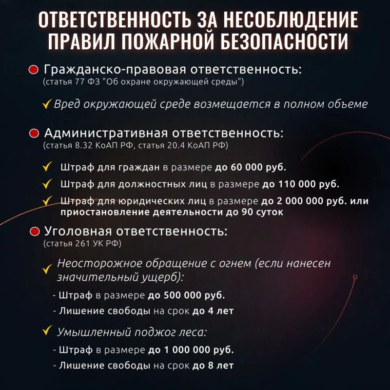 Не забывайте о пожарной безопасности во время отдыха на природе Не забывайте о пожарной безопасности во время отдыха на природе