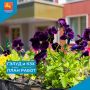 Сегодня, 15 июня на уборку улично-дорожной сети города вышли 42 единицы коммунальной техники