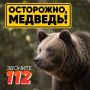 Госохотнадзор напоминает о правилах при встрече с бурым медведем