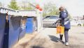 Масштабная дератизация охватила Магадан