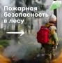 Отдыхая на природе, не навредите ей!