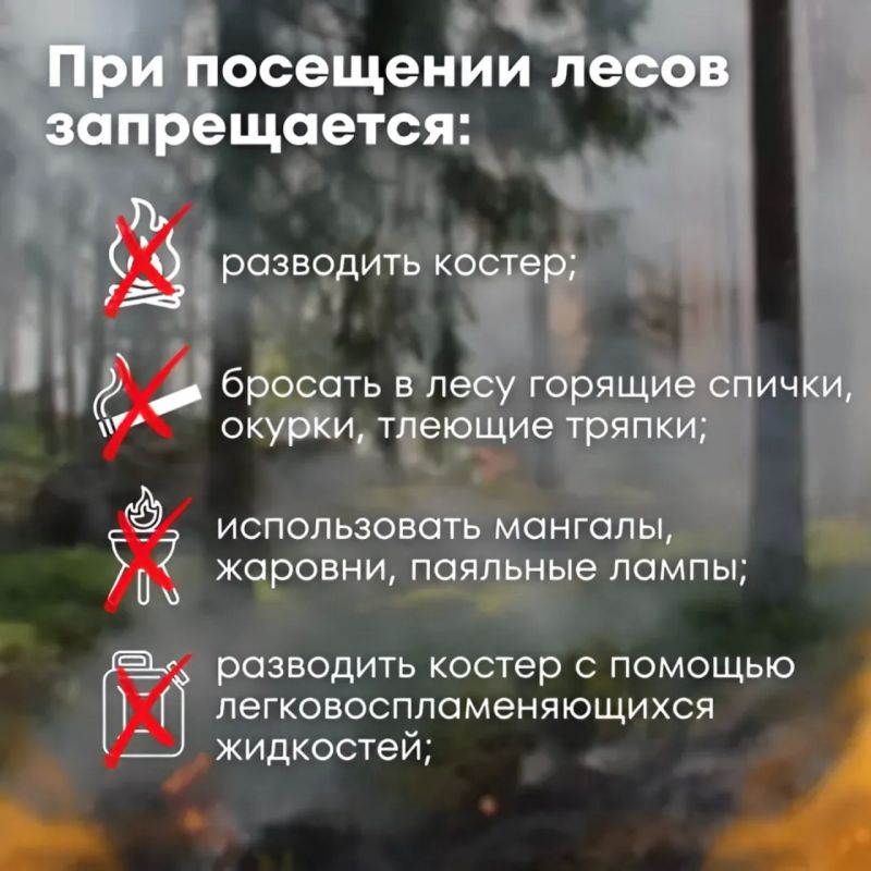 Отдыхая на природе, не навредите ей! Отдыхая на природе, не навредите ей!