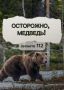 Госохотнадзор: как вести себя при встрече с медведем