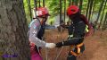 � ����������� ������� ������������ ������-������������� ����� ��� ������������-�����������, ������� �������� ����������� ��������� ����������� ������� ������