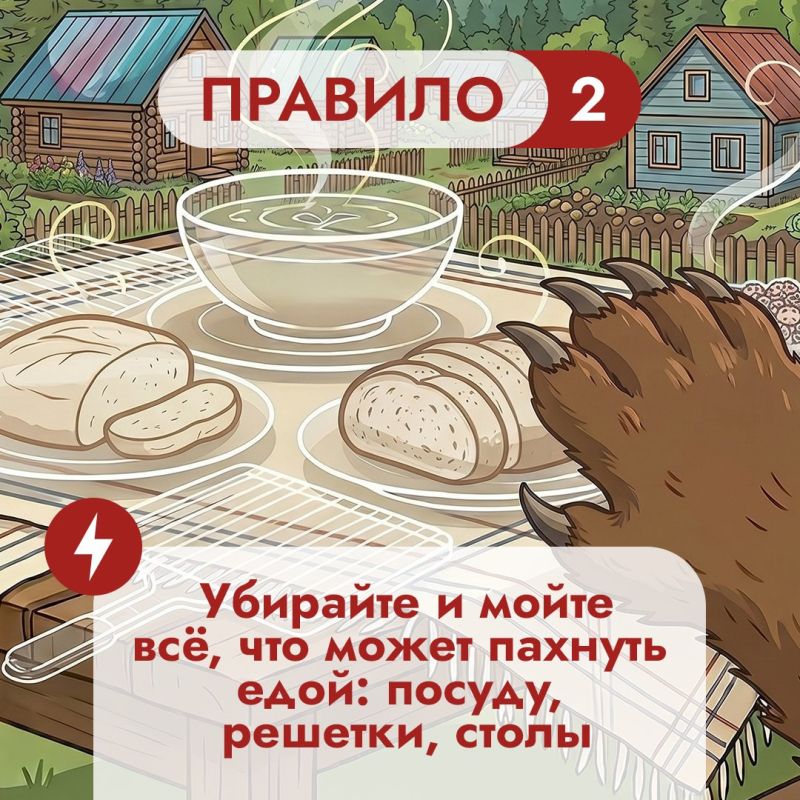 На Дальнем Востоке встречи с бурым медведем – реальность для тысячи людей На Дальнем Востоке встречи с бурым медведем – реальность для тысячи людей