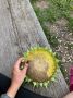 ����� ���������, ��� ������� � ������ ������������ ������� ��� ��������