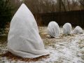 ��� �������� �������� � ����: ������� ������� ������� ��������