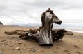 В Магадане +9, +12°C, переменная облачность