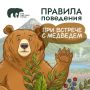 Что делать при встрече с медведем