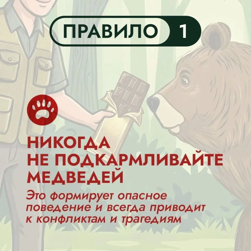 На Дальнем Востоке бурый медведь – хозяин территорий На Дальнем Востоке бурый медведь – хозяин территорий