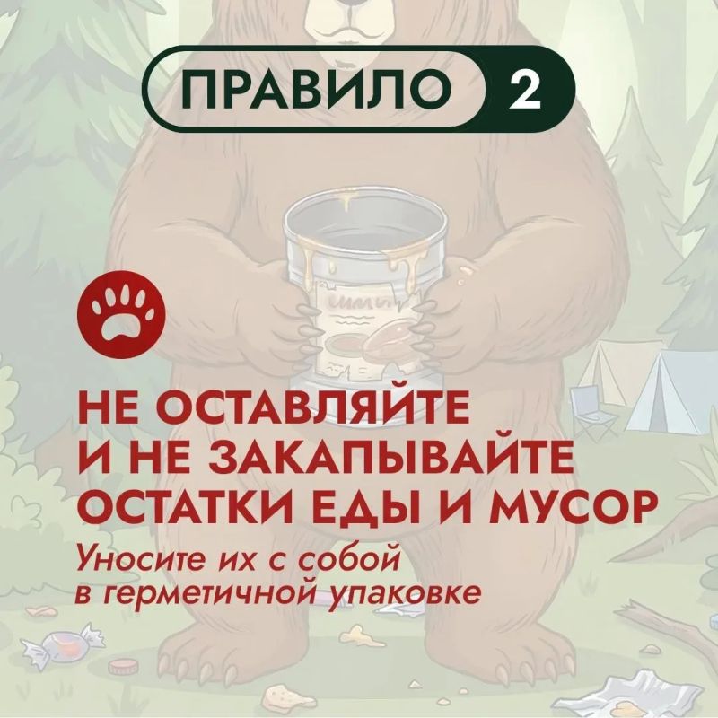 На Дальнем Востоке бурый медведь – хозяин территорий На Дальнем Востоке бурый медведь – хозяин территорий