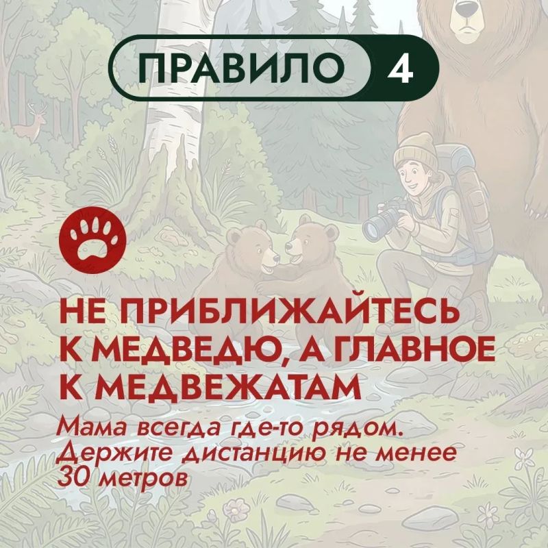 На Дальнем Востоке бурый медведь – хозяин территорий На Дальнем Востоке бурый медведь – хозяин территорий