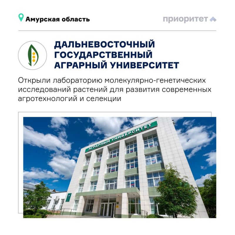Почему все больше студентов Дальнего Востока остаются учиться дома – и не жалеют? Почему все больше студентов Дальнего Востока остаются учиться дома – и не жалеют?