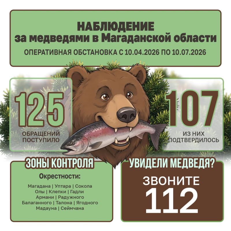 В Магаданской области проводят учеты численности бурого медведя