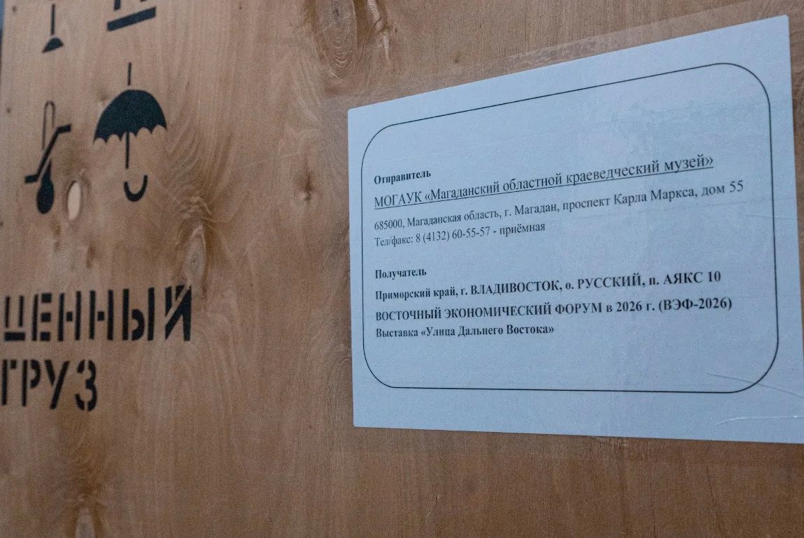 Овцебык поехал из Магаданской области на выставку «Улица Дальнего Востока» Овцебык поехал из Магаданской области на выставку «Улица Дальнего Востока»