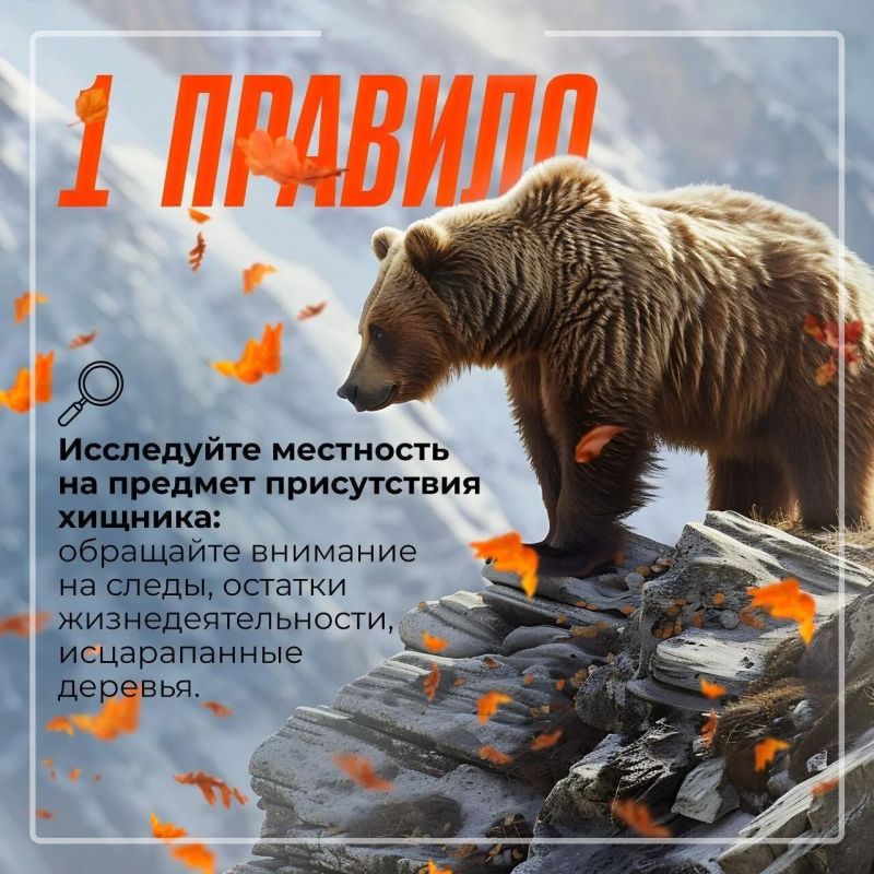 Собираетесь на рыбалку или в поход? Чтобы ваше приключение не превратилось в опасную историю, изучите советы, как предостеречь себя от встречи с медведем Собираетесь на рыбалку или в поход? Чтобы ваше приключение не превратилось в опасную историю, изучите советы, как предостеречь себя от встречи с медведем