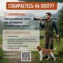 Ответственность за нарушение правил охоты