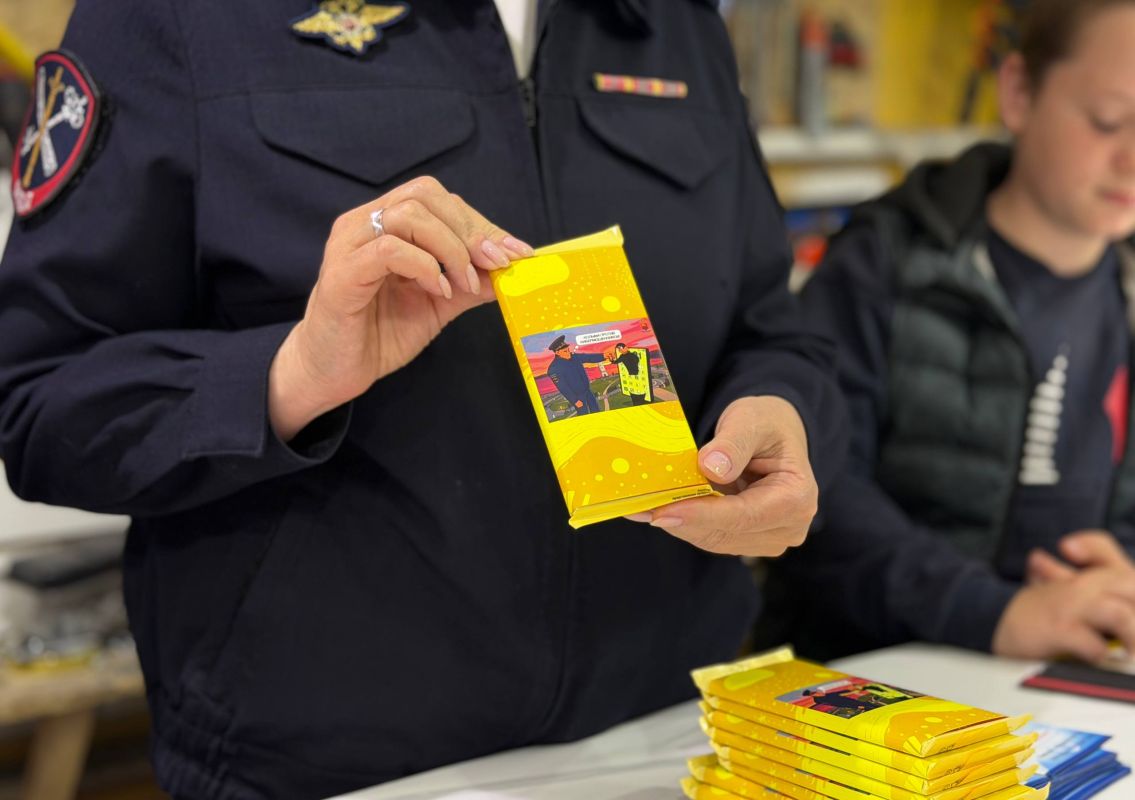 Акция «Каникулы с Общественным советом» Акция «Каникулы с Общественным советом»