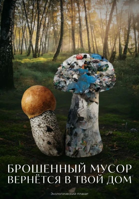 Дорогие колымчане!. Напоминаем вам, что при посещении леса, отдыхе на природе и пикниках нельзя оставлять и выбрасывать мусор в лесу и на прилегающих к лесу территориях Дорогие колымчане!. Напоминаем вам, что при посещении леса, отдыхе на природе и пикниках нельзя оставлять и выбрасывать мусор в лесу и на прилегающих к лесу территориях