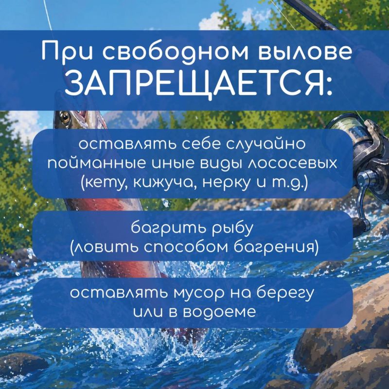 С 27 по 31 июля вылов тихоокеанских лососей и гольцов из рек, впадающих в Охотское море, временно запрещен С 27 по 31 июля вылов тихоокеанских лососей и гольцов из рек, впадающих в Охотское море, временно запрещен
