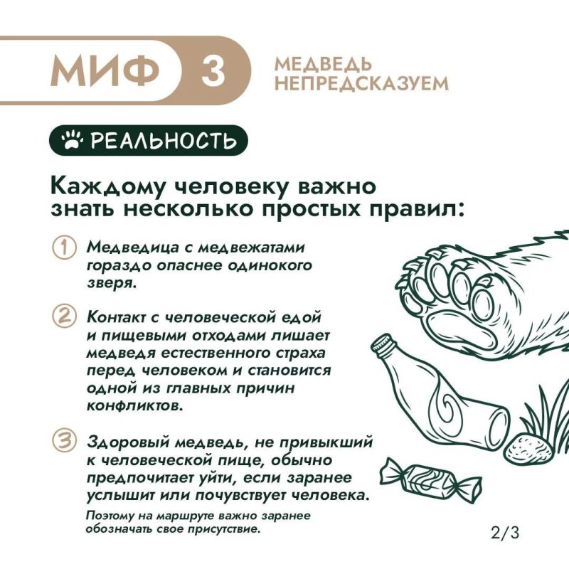 Правда или миф? Проверим, что вы знаете о медведях! Правда или миф? Проверим, что вы знаете о медведях!
