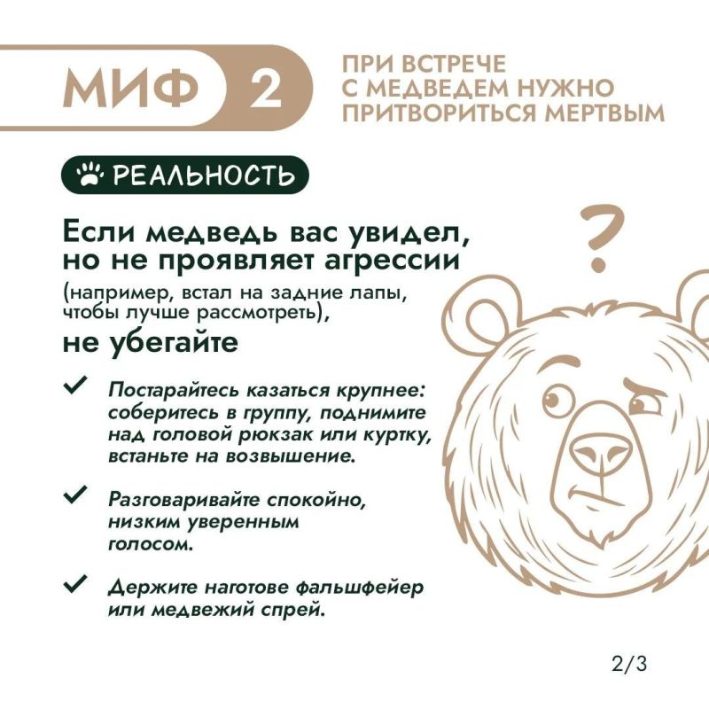 Правда или миф? Проверим, что вы знаете о медведях! Правда или миф? Проверим, что вы знаете о медведях!