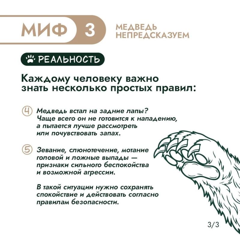 Правда или миф? Проверим, что вы знаете о медведях! Правда или миф? Проверим, что вы знаете о медведях!