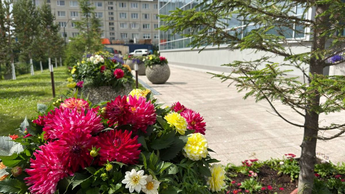 Лариса Поликанова: В прошлом году я начала объезды по городу и знакомство с нашими предпринимателями — смотрела, как выглядят территории возле магазинов, кафе, разных торговых точек Лариса Поликанова: В прошлом году я начала объезды по городу и знакомство с нашими предпринимателями — смотрела, как выглядят территории возле магазинов, кафе, разных торговых точек
