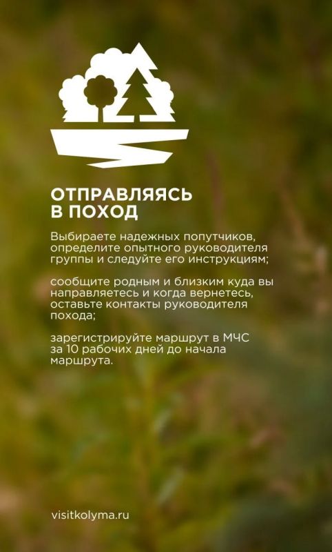 Сейчас самый разгар лета, а это значит, что наступила пора походов и долгих вылазок на природу Сейчас самый разгар лета, а это значит, что наступила пора походов и долгих вылазок на природу