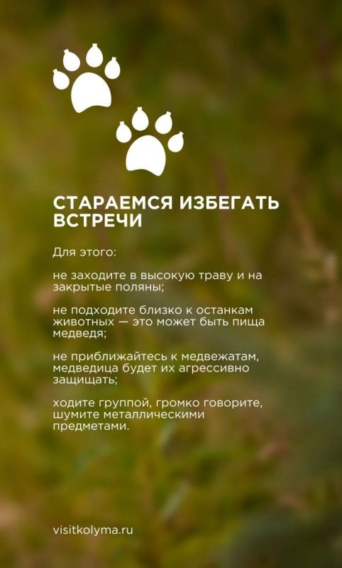Сейчас самый разгар лета, а это значит, что наступила пора походов и долгих вылазок на природу Сейчас самый разгар лета, а это значит, что наступила пора походов и долгих вылазок на природу