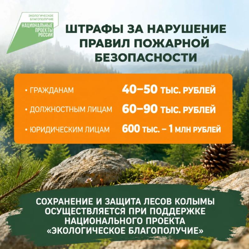 Лесной пожар легче предотвратить, чем потушить Лесной пожар легче предотвратить, чем потушить