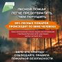 Лесной пожар легче предотвратить, чем потушить
