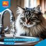 В нескольких домах Магадана на улице Пролетарской 7 августа временно приостановят подачу холодной воды