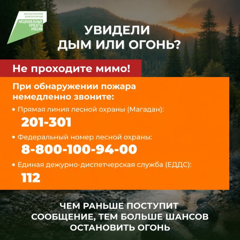 Лесной пожар легче предотвратить, чем потушить Лесной пожар легче предотвратить, чем потушить