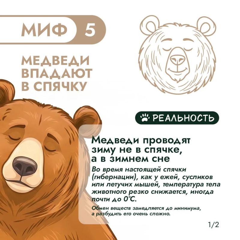 Правда или миф? Продолжаем разбираться! Правда или миф? Продолжаем разбираться!