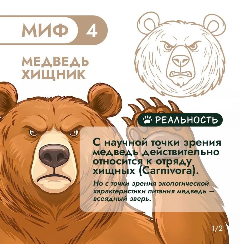 Правда или миф? Продолжаем разбираться! Правда или миф? Продолжаем разбираться!