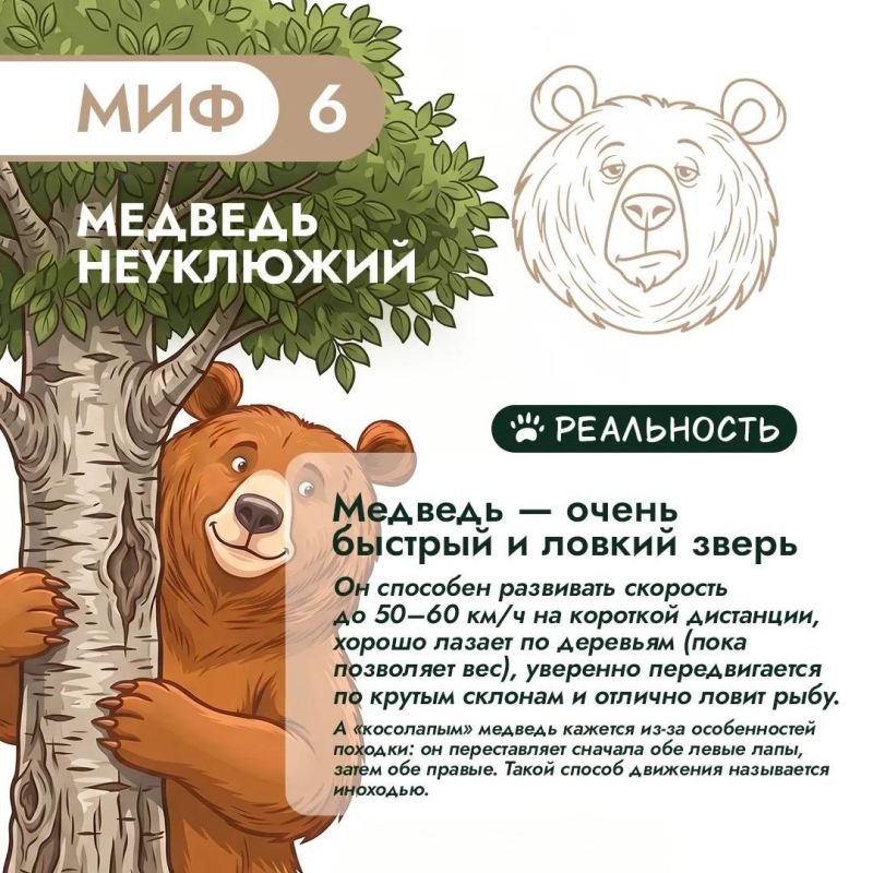 Правда или миф? Продолжаем разбираться! Правда или миф? Продолжаем разбираться!