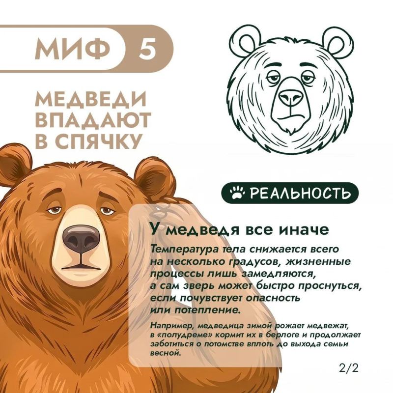 Правда или миф? Продолжаем разбираться! Правда или миф? Продолжаем разбираться!