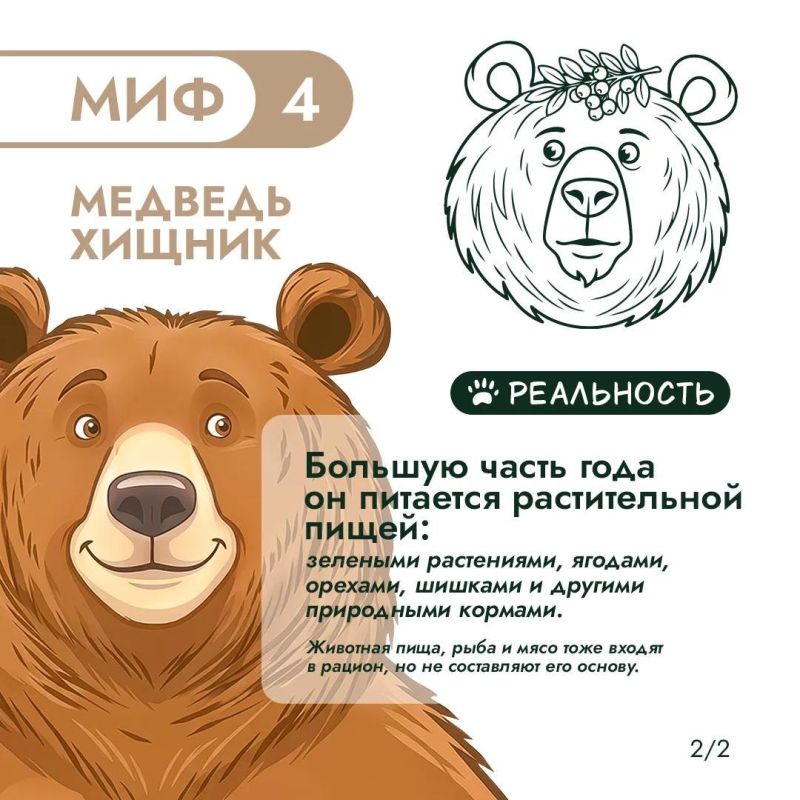 Правда или миф? Продолжаем разбираться! Правда или миф? Продолжаем разбираться!